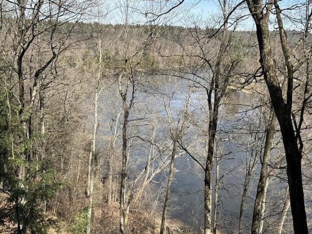 Land for sale in Newaygo, Michigan