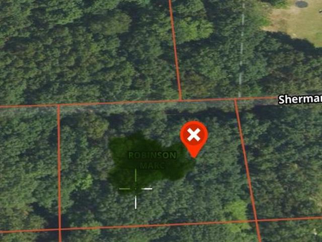 Land for sale in Fountain, Michigan