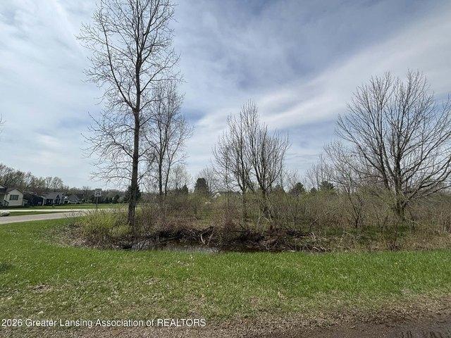 Land for sale in Gratiot, Michigan