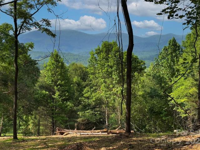 Land for sale in Fairview, North Carolina