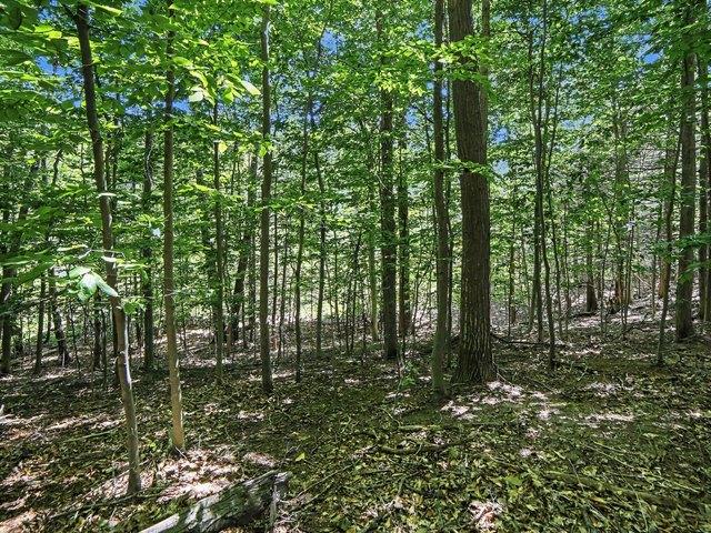 Land for sale in Whitehall, Michigan