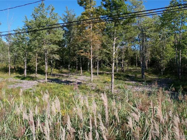 Land for sale in Derby, New York