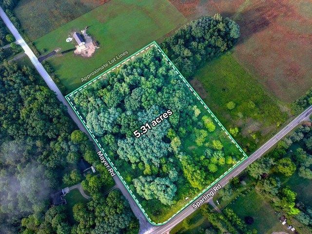 Land for sale in Goodells, Michigan