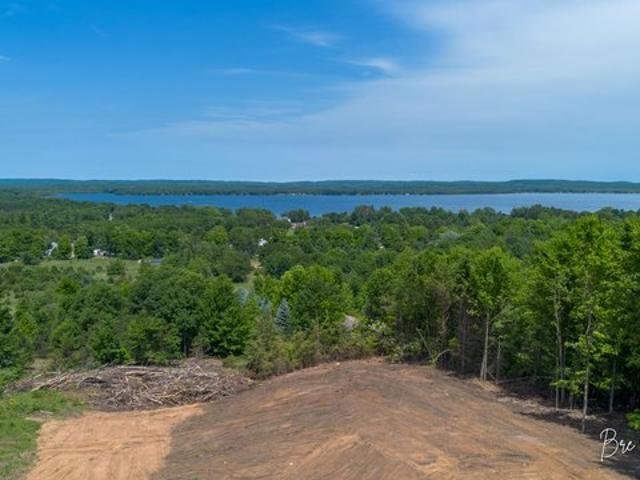 Land for sale in Bear Lake, Michigan