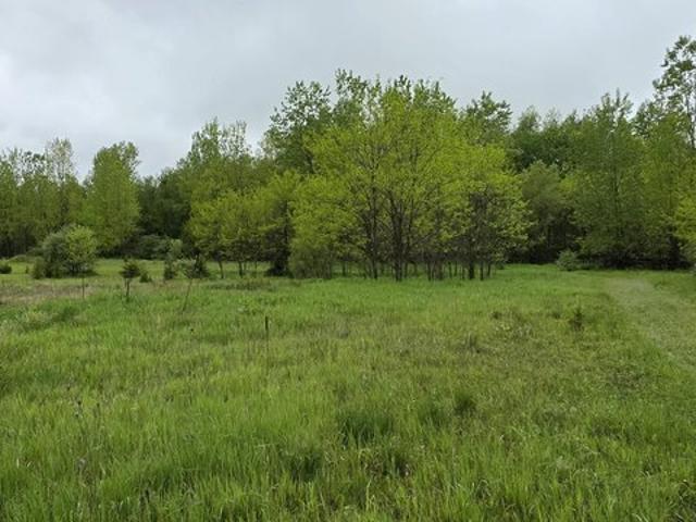 Land for sale in Brooklyn, Michigan