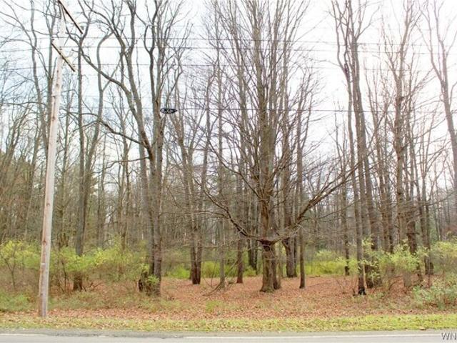 Land for sale in Springville