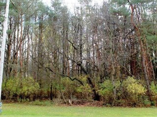 Land for sale in Springville
