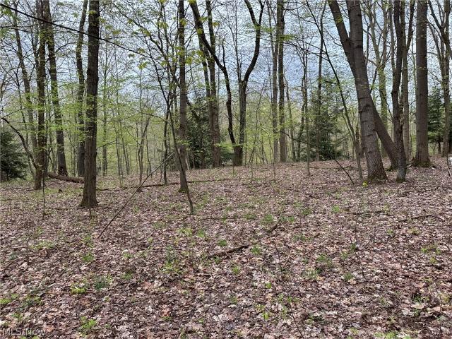 Land for sale in Kingsville, Ohio