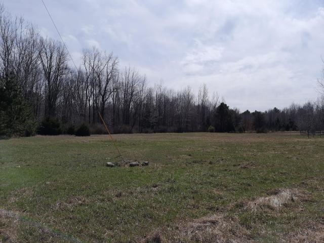 Land for sale in Tuscola, Michigan