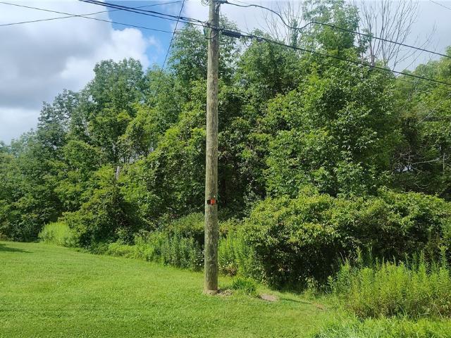 Land for sale in Kingsville, Ohio