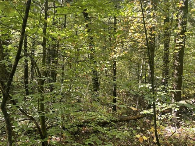 Land for sale in Cedar Creek Township, Muskegon County