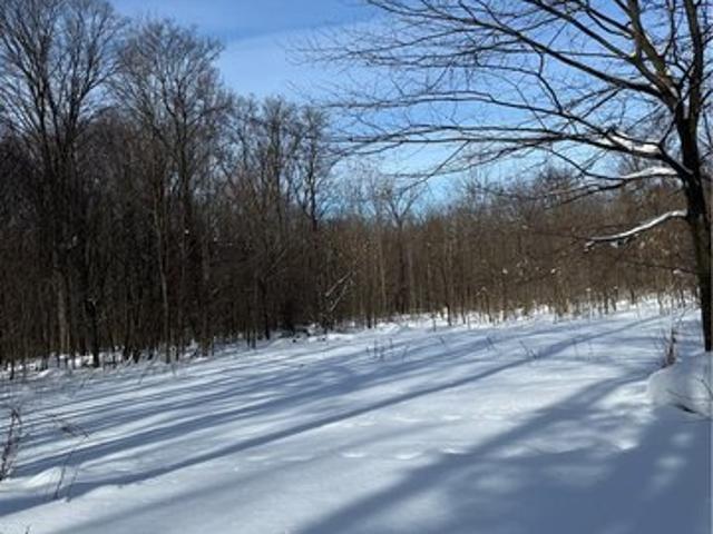 Land for sale in Silver Springs, New York