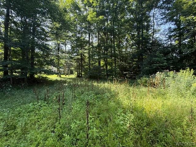 Land for sale in Town of Warsaw, Wyoming County