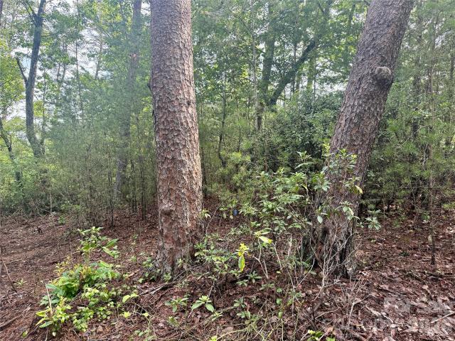 Land for sale in Bostic, Rutherford County