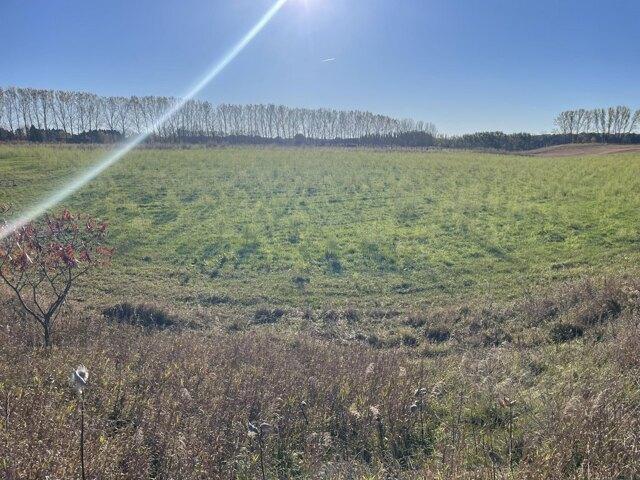 Land for sale in Shelby, Michigan