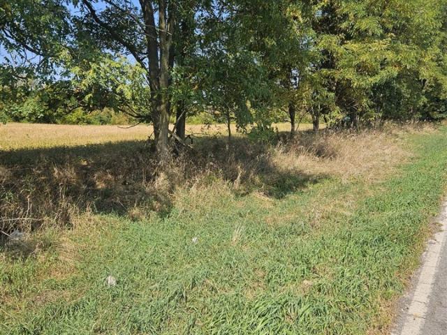 Land for sale in Horton, Michigan