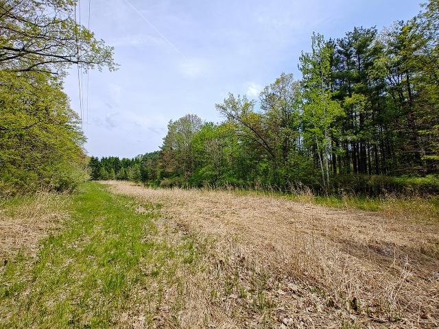 Land for sale in Fenton, Michigan