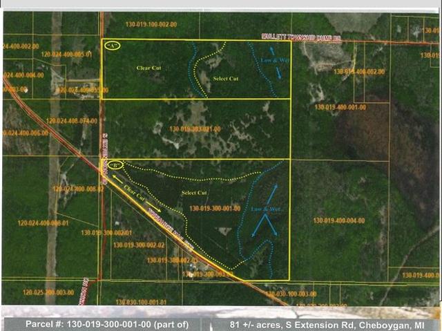 Land for sale in Topinabee, Michigan