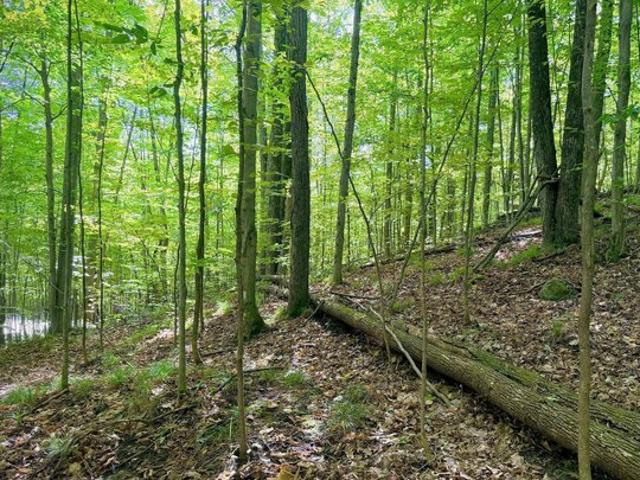 Land for sale in Bellaire, Antrim County