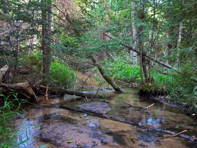 Land for sale in South Boardman, Michigan