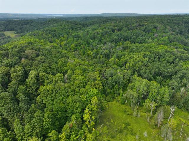 Land for sale in East Jordan, Michigan