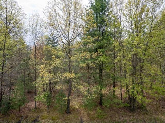 Land for sale in Coleman, Michigan