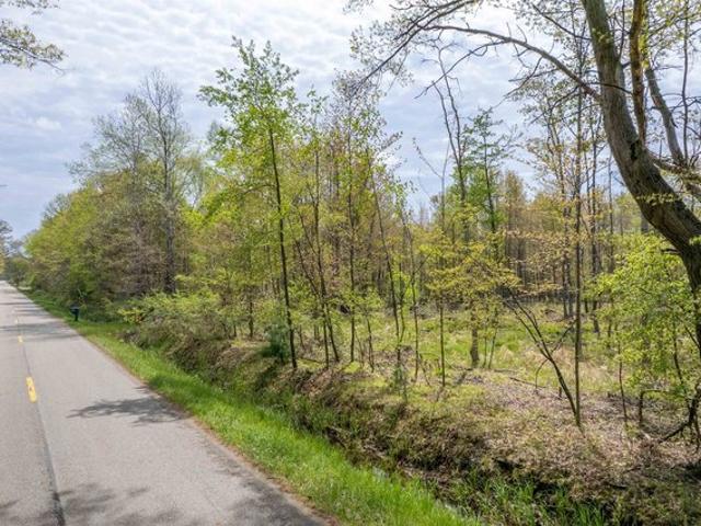 Land for sale in Coleman, Michigan