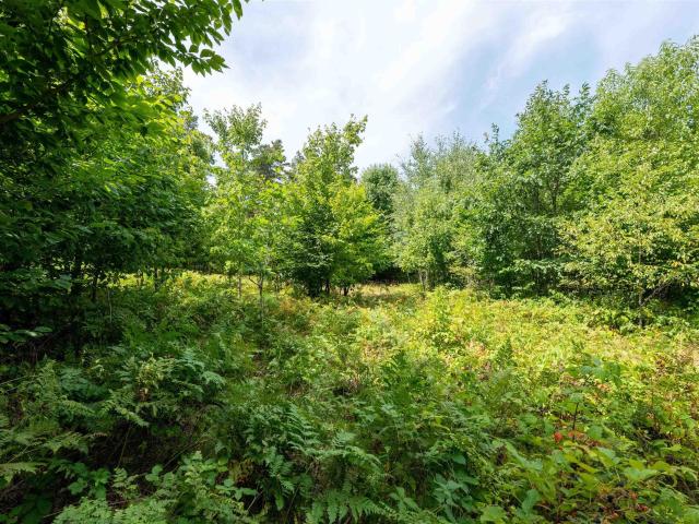 Land for sale in Michigan