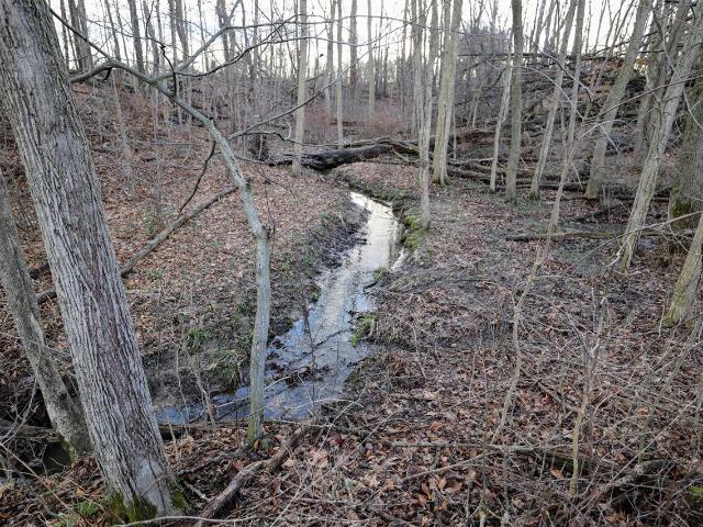 Land for sale in Michigan