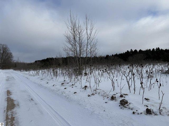 Land for sale in Lake City, Michigan