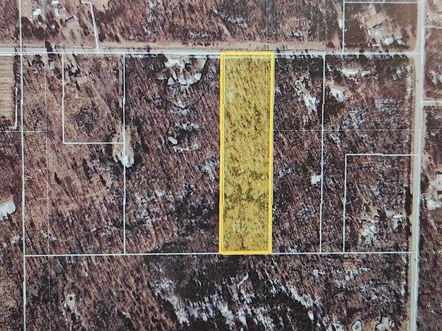 Land for sale in Beaverton, Michigan