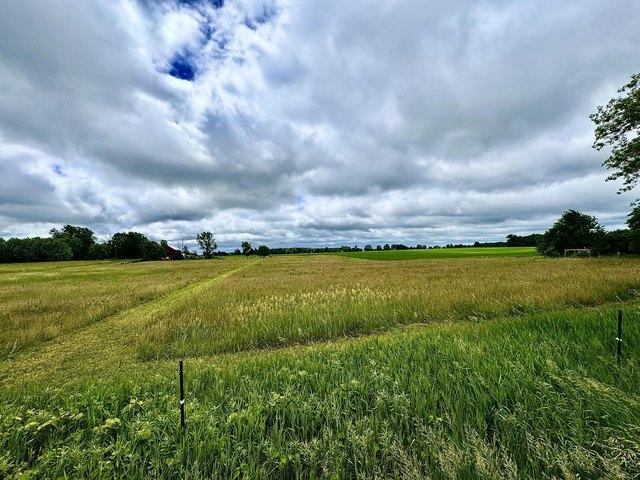 Land for sale in Howard City, Michigan