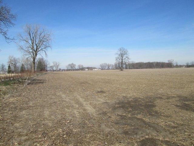 Land for sale in Baroda, Michigan
