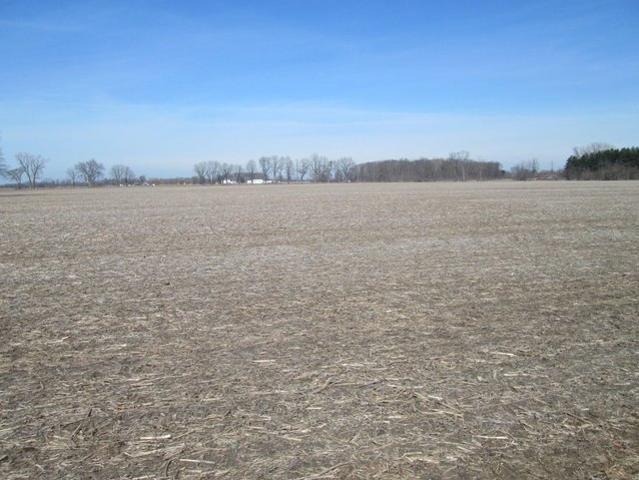 Land for sale in Baroda, Michigan