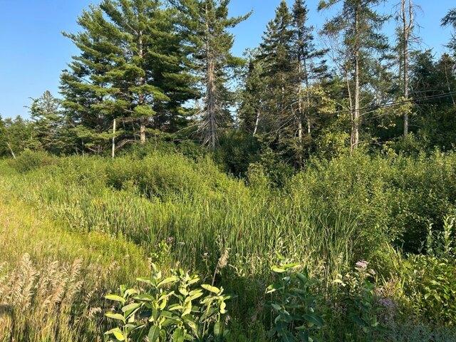 Land for sale in Alpena Land for sale in Alpena