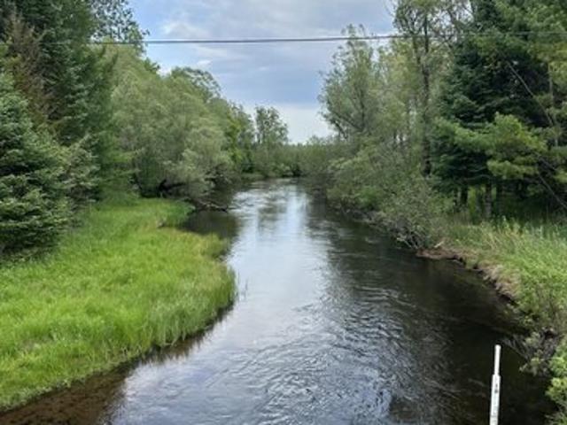 Land for sale in Grayling, Michigan