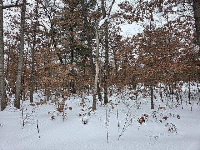 Land for sale in Baldwin, Michigan