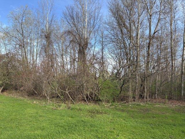 Land for sale in Hart, Michigan