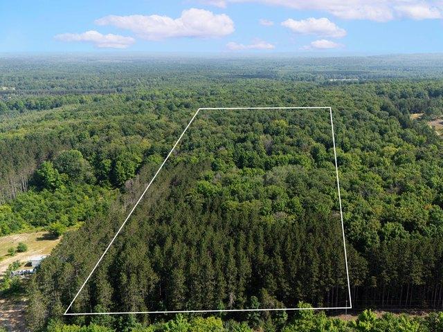 Land for sale in Manton, Michigan