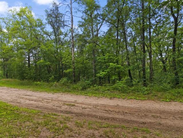 Land for sale in Baldwin, Michigan