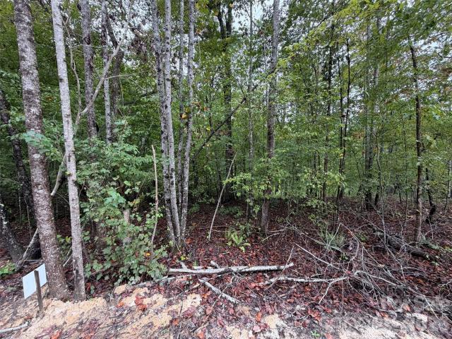 Land for sale in Rutherfordton, Rutherford County