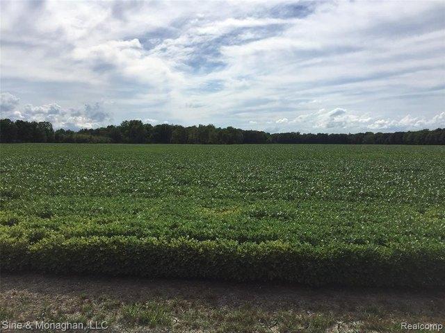 Land for sale in East China, Michigan