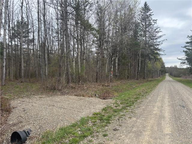 Land for sale in Dansville, New York