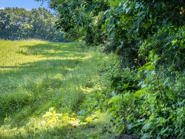 Land for sale in Clarklake