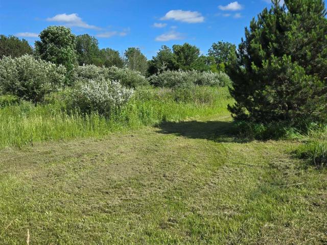 Land for sale in Carsonville