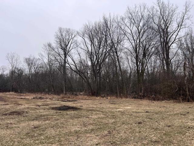 Land for sale in Perry, Michigan