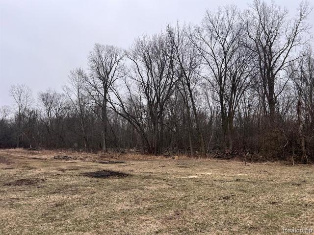 Land for sale in Michigan