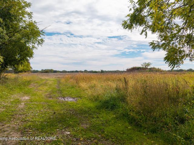 Land for sale in Dimondale, Eaton County
