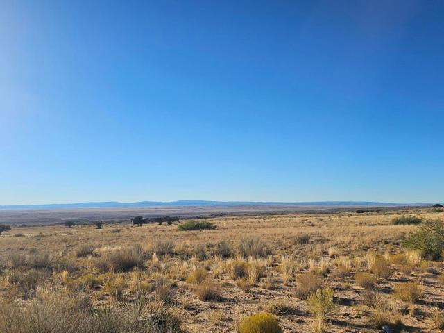 Land for sale in Magdalena, New Mexico
