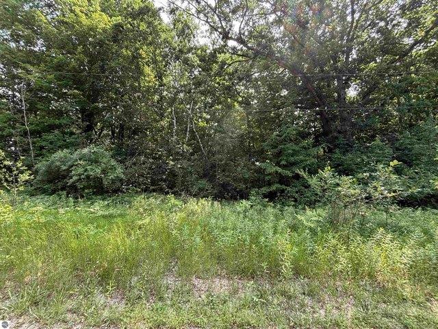 Land for sale in Clare, Michigan